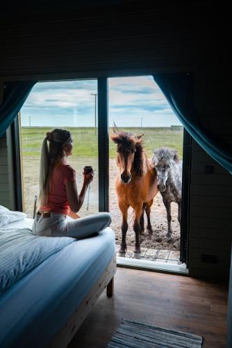 Sleeping with the Horses, Hvolsvöllur (photo 2)