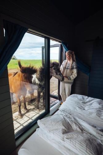Sleeping with the Horses, Hvolsvöllur (photo 7)