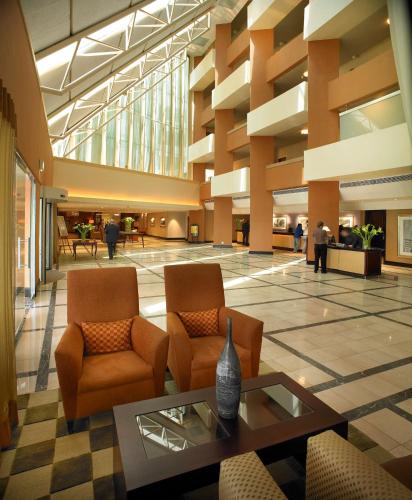 Southern Sun OR Tambo International Airport_2_image