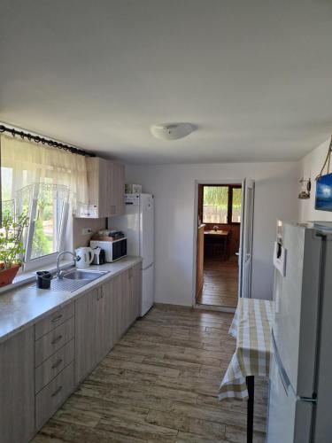Casa Ivana in Murighiol