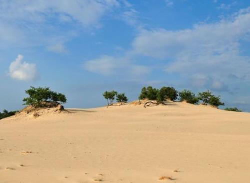  Natuurhuisje Oisterwijk in Oisterwijk