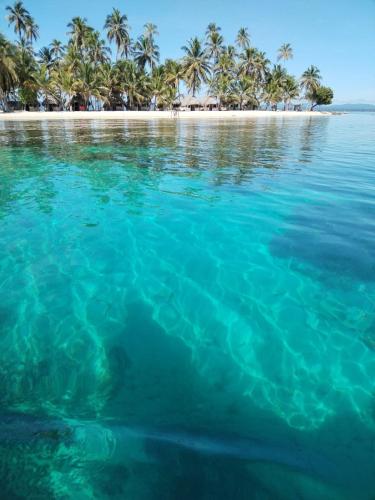 . Gunayar amazing