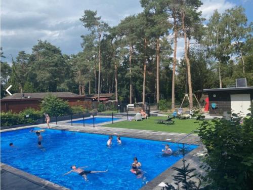 Swimming pool, Blue Artist chalet Veluwe in Elburg
