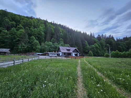 周邊環境, Casa Andreea in 弗拉辛