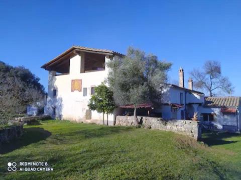 Apartamento Rural Mas Cadavall - Apartment - Serinyà