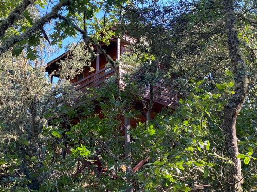 ECOLODGE CABAÑEROS