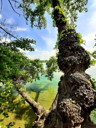Ferienwohnung "Am Blauwasser" mit Infrarotkabine Ferienwohnung "Am Blauwasser" mit Infrarotkabine