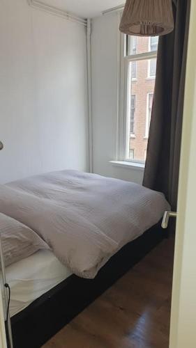 Amsterdam - Bright, canal-side, central, renovated 1BR, Amsterdam (zdjęcie 8)