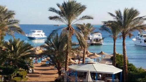 Anemone beach resort