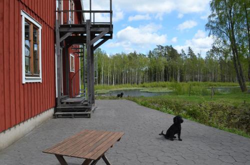 Pensionat Sågknorren