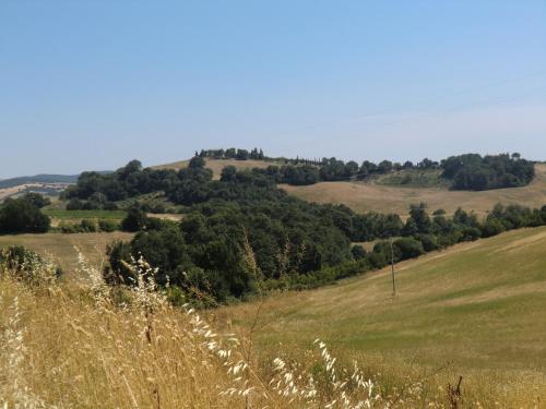 Agriturismo Cavallin Del Bufalo