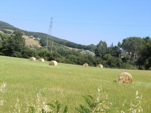 Agriturismo Cavallin Del Bufalo