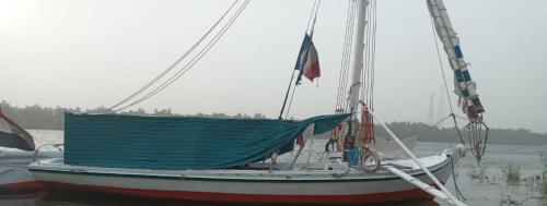 Felucca, lateen sailing boat , to discover the Nile