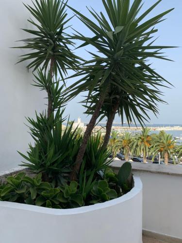 Terrazza Diomede - image 6