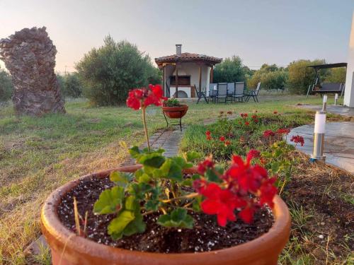 Gaia Olives Villa Gaia Olives Villa