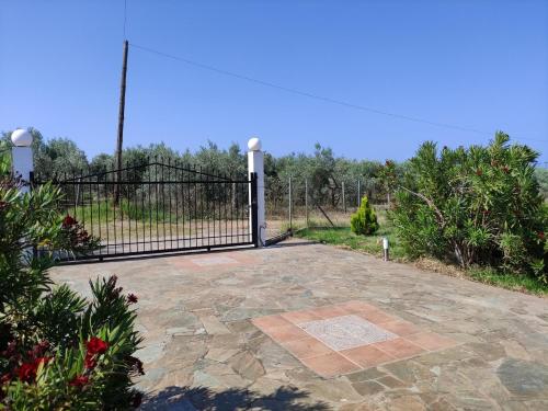 Gaia Olives Villa Gaia Olives Villa