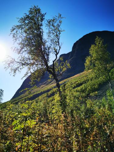 Stayin Borgafjäll - Tuffa Lillan - Bo bakom hotellet