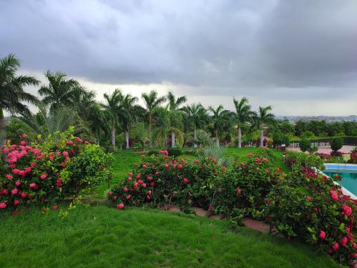 Rajwada Farm Stay