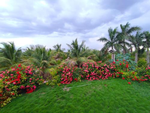 Rajwada Farm Stay