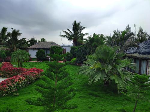 Rajwada Farm Stay