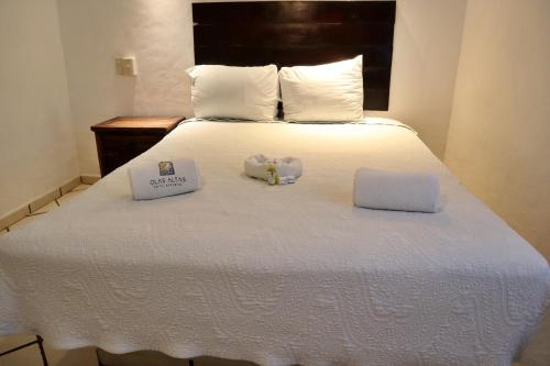 HOTEL OLAS ALTAS BUCERIAS – Bucerias, MO