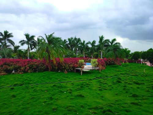 Rajwada Farm Stay