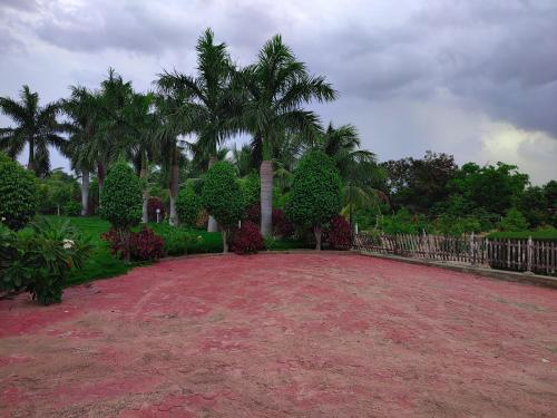 Rajwada Farm Stay