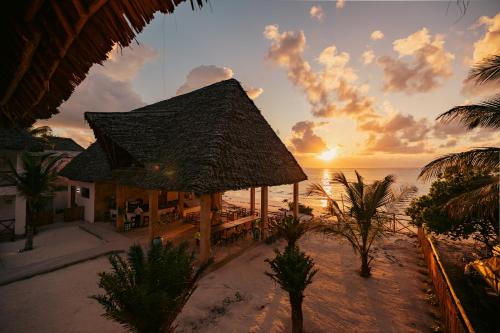 plaża, Mayai Ocean Resort in Bwejuu
