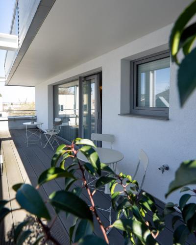 Suite with Terrace