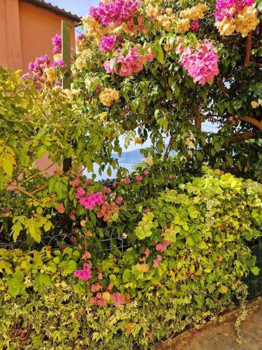 Giardino panoramico sul mare, un angolo di liguria