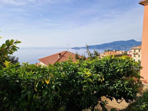 Giardino panoramico sul mare, un angolo di liguria