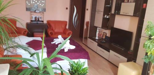Anisia's Apartament