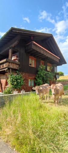 Ferienhaus am Berg