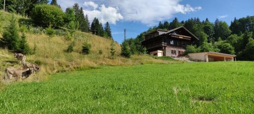 Ferienhaus am Berg