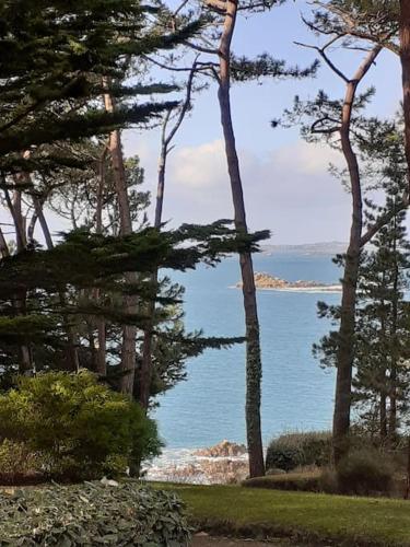 Petit nid des années 30 sur les hauts de Morlaix