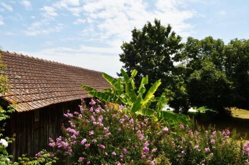 Les bergeronnettes - Chambres d'Hôtes Bergerac - image 4