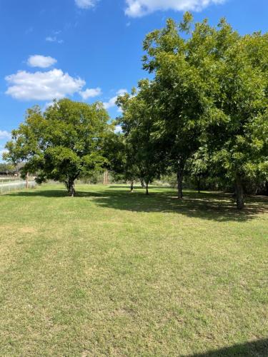 Pet Friendly Graham 2 Bedroom Home Christmas 365 at The Mistletoe Farm in Graham, USA