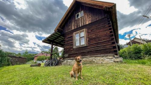 Drevenica JURsport Dúbrava - Accommodation - Dŭbrava