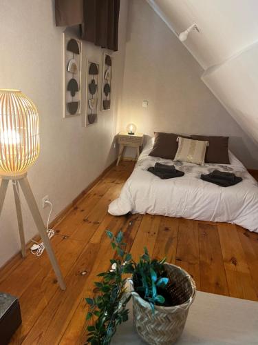 Couette et Tartine – Chalon sur Saone, LA
