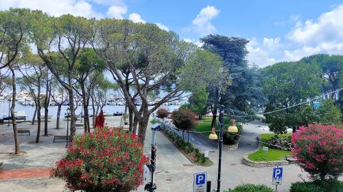 UN BALCONE IN PINETA