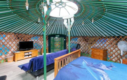 Colourful Mongolian Yurt enjoy a new experience in Turriff