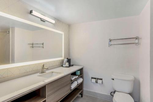 Comfort Inn & Suites - image 11