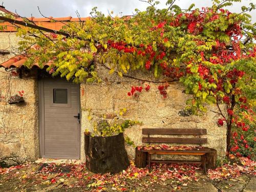 ทางเข้า, Quinta do Borges in กัวดา