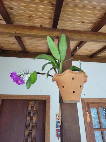Chalés das Orquídeas - image 2