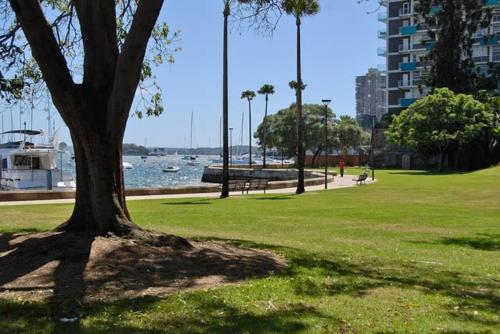Sun Drenched Apartment in Darlinghurst - image 3