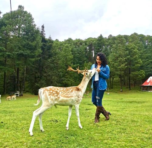 Rancho Ecológico El Mirador