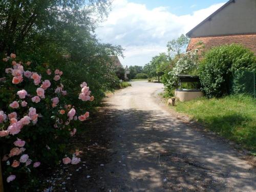 Gîte Souvigny, 5 pièces, 10 personnes - FR-1-489-466