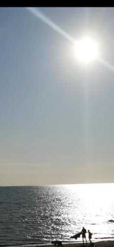 Poilsis Giruliuose Poilsis Giruliuose