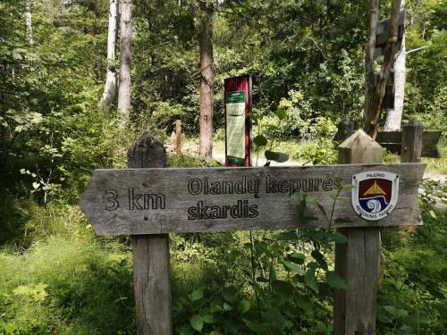 Poilsis Giruliuose Poilsis Giruliuose