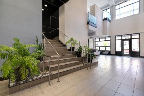 外部景觀, Holiday Inn Express & Suites Kansas City KU Medical Center By IHG in 肯薩斯城